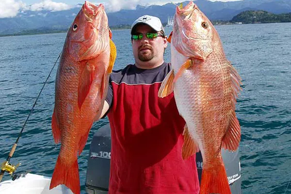 Bottom Fishing Jaco