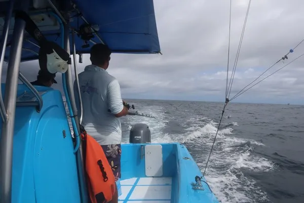Los Suenos Fishing Charters