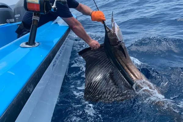 Jaco Sportfishing