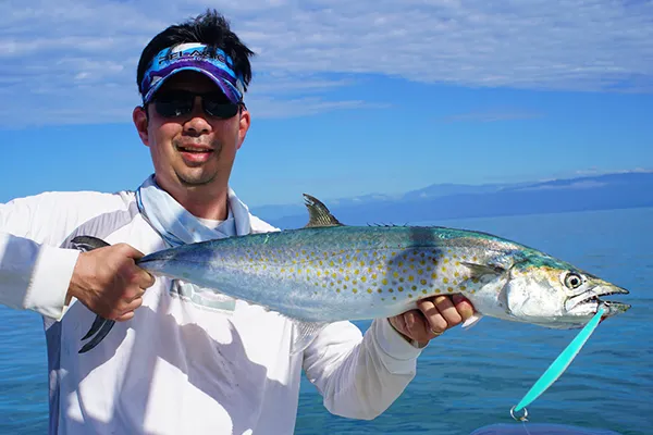 Mackerel Fishing Los Suenos