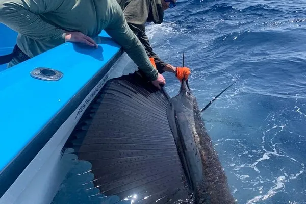 Sailfish Fishing Jaco